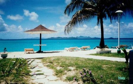 le reve