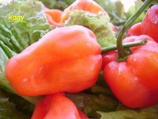 piments