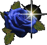 fleur d'amour